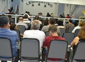 Vereadores aprovam projeto de lei que dá nome à rua do Chácaras Recanto dos Palmares